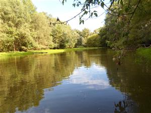 Koniec TML druhy pohlad